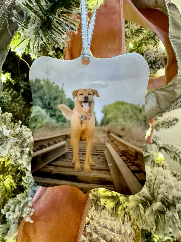 Custom Photo Ornament (Acrylic)