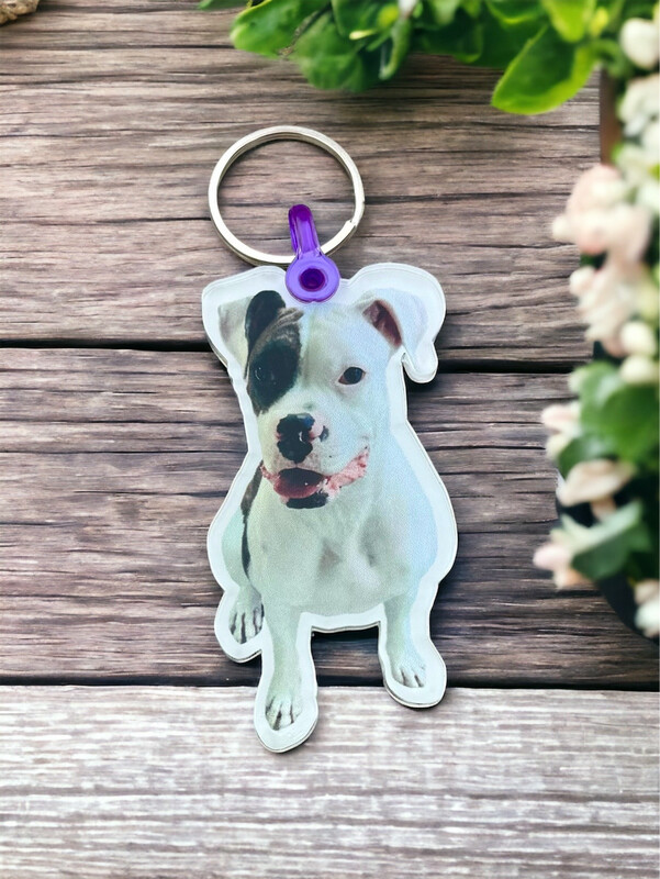 Pet Photo Keychain (Clear Acrylic)