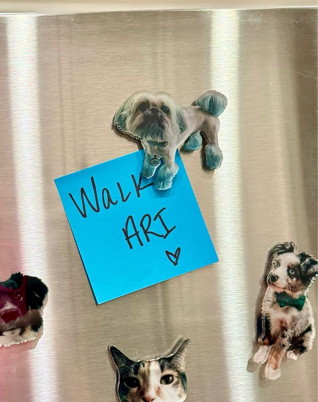 Pet Photo Magnets (Clear Acrylic)