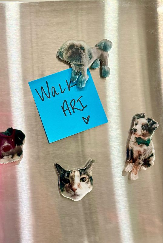 Pet Photo Magnets (Clear Acrylic)