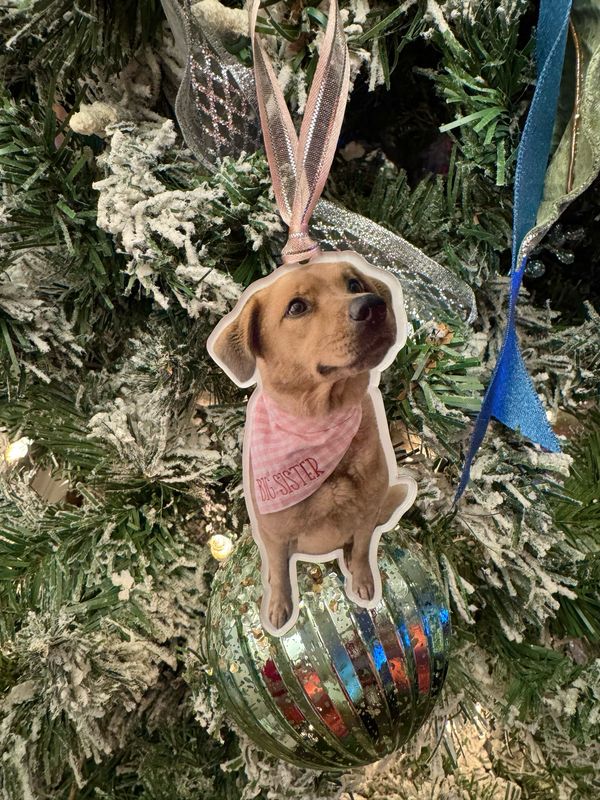 Acrylic Pet Ornament