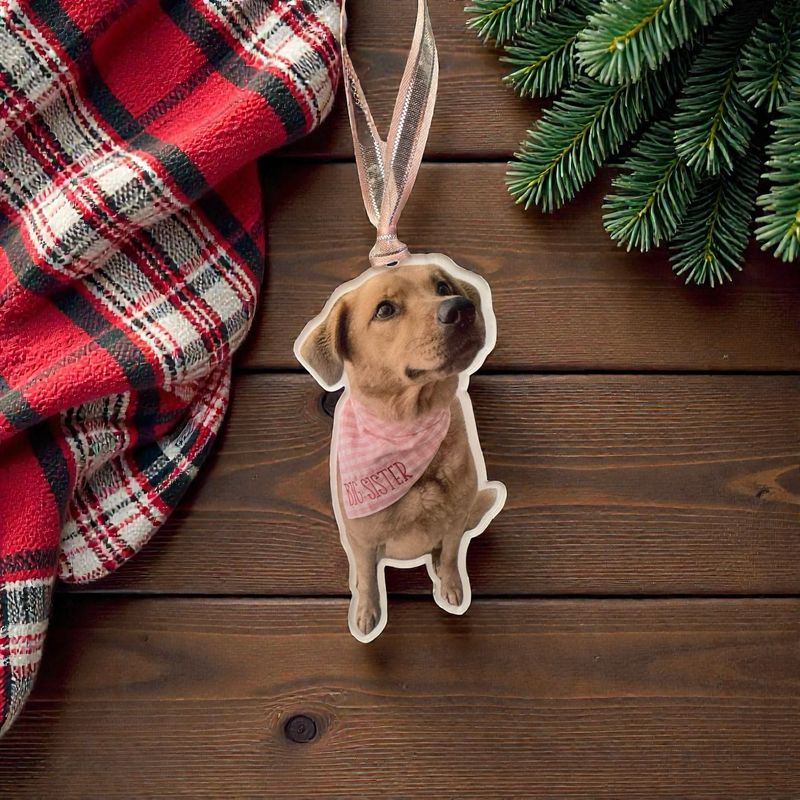 Acrylic Pet Ornament