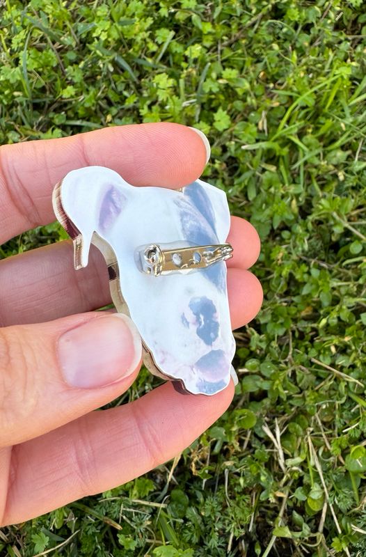 Pet Photo Pin (Clear Acrylic)