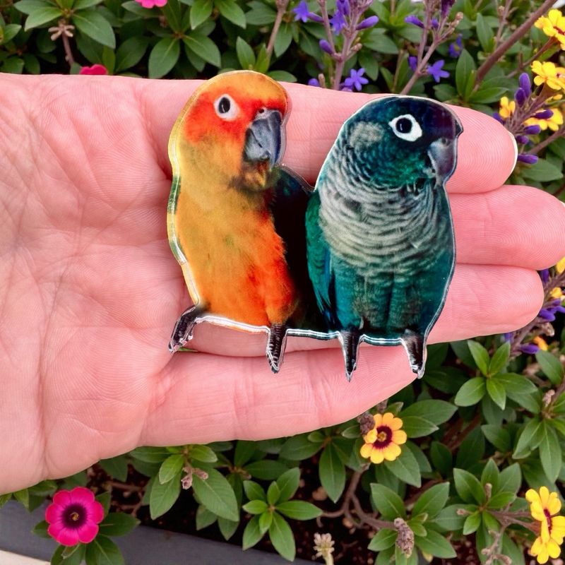 Pet Photo Pin (Clear Acrylic)