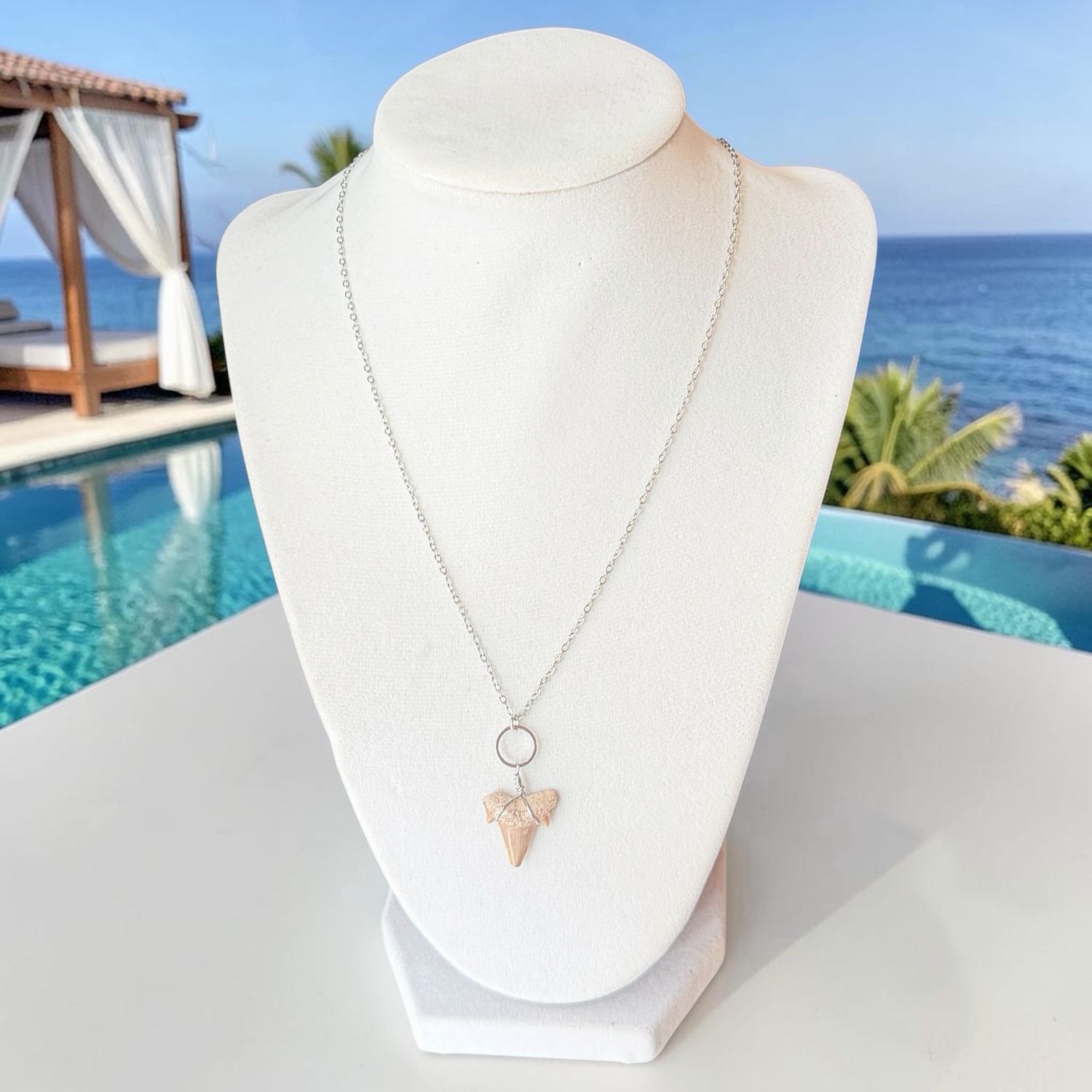 Handmade Necklace (Shark Tooth And Silver Chain)