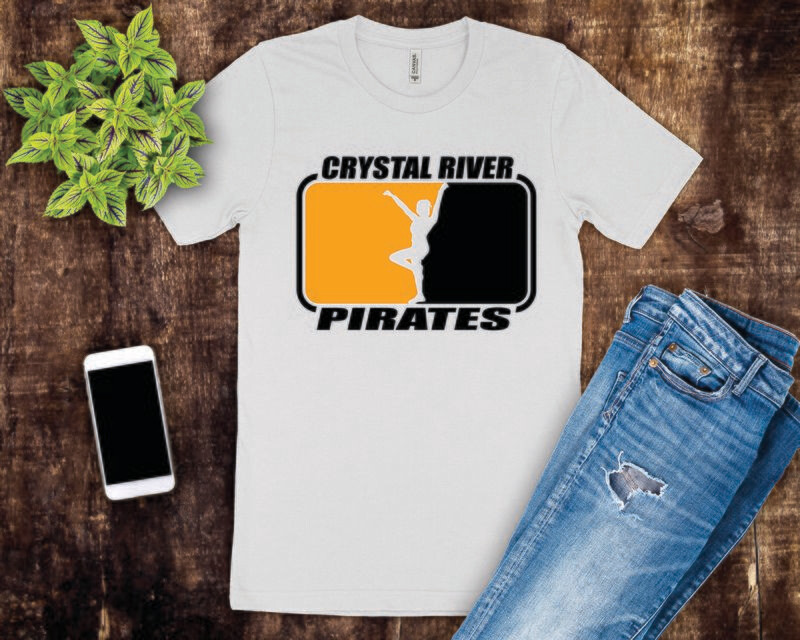 Custom Cheer Tee Shirt