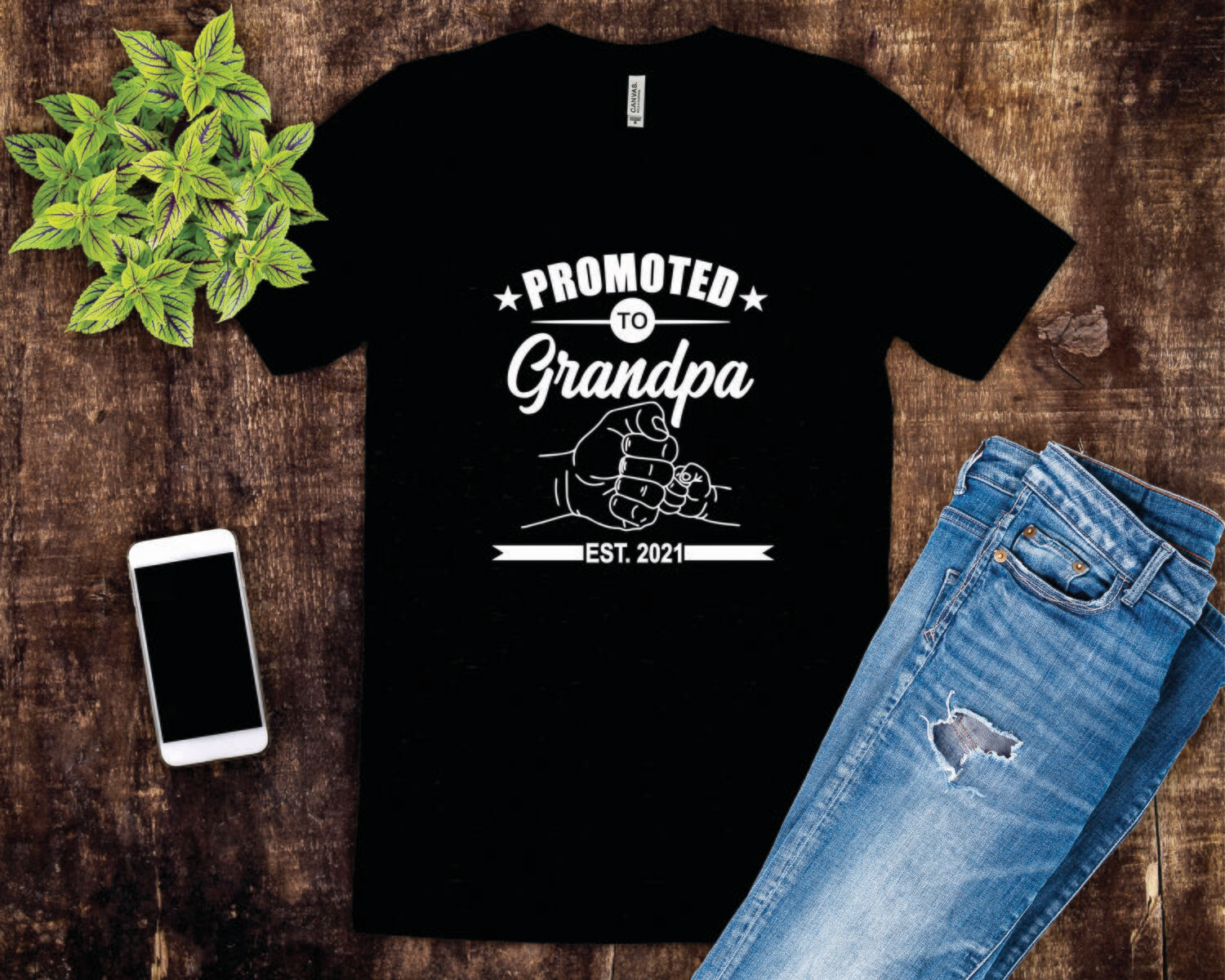 Promoted to Grandpa Tee Shirt