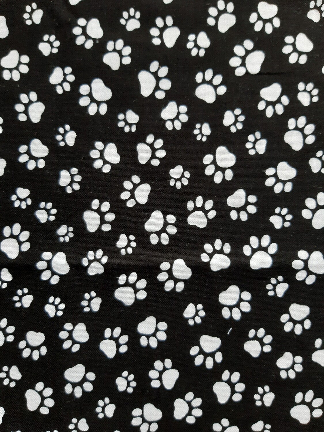 Black &amp; white paws