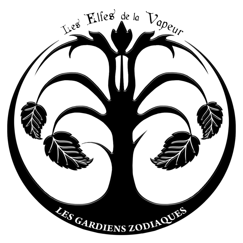 Les gardiens zodiaques, format numérique