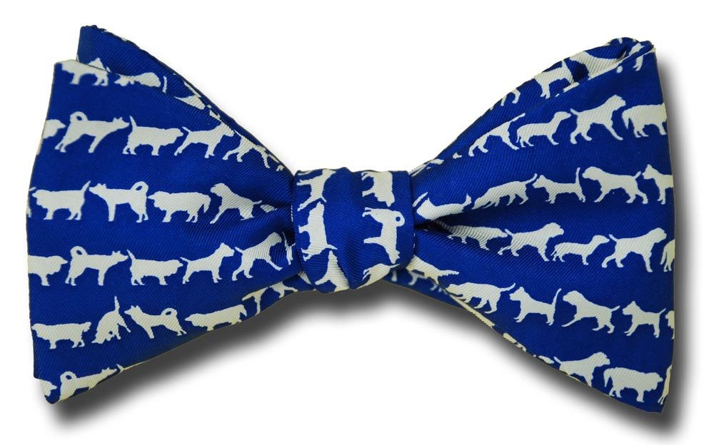 Getting To Know You Dog Bow Tie