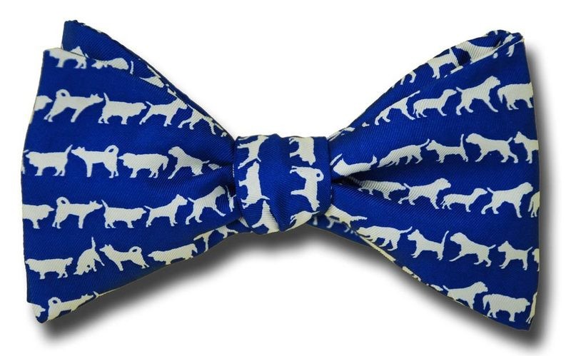 Getting To Know You Dog Bow Tie