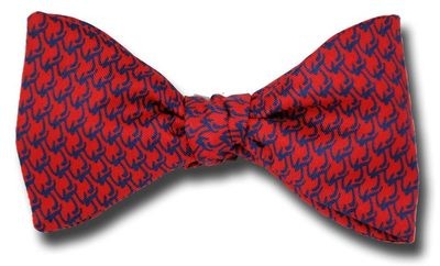 Hidden Pi Bow Tie