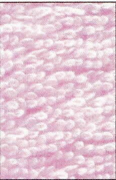 Babycape, Babycape: rosa