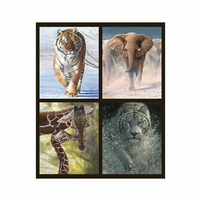 Panel "Safari"