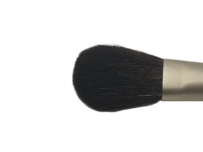 Blush Brush