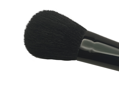 Powder Brush - Flat/Oval