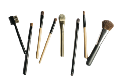 Lip Brushes