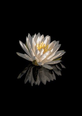 Crystal Archive Prints in Five Sizes