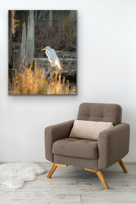 HD Metal Prints in Three Sizes