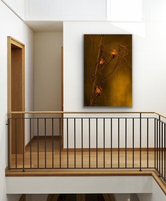 HD Acrylic Wall Art in Two Sizes