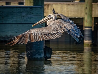 Professional Satin Prints in Four Sizes