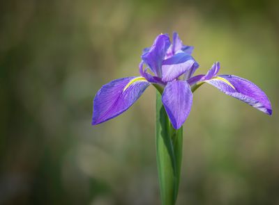 Custom Photo Mousepad