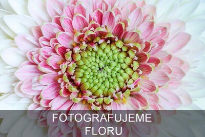 FOTOGRAFUJEME FLORU | Online foto kurz
