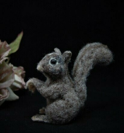 Ardilla
