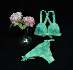 Bikini en miniatura