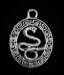 Serpiente en óvalo color plata