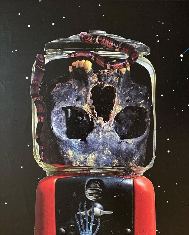 The Prize by Phaedra Odelle