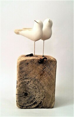 HERRING GULLS