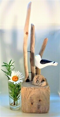 BLACK BACKED GULLS