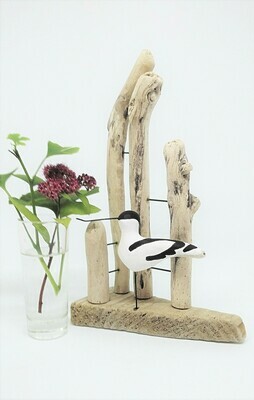 AVOCETS
