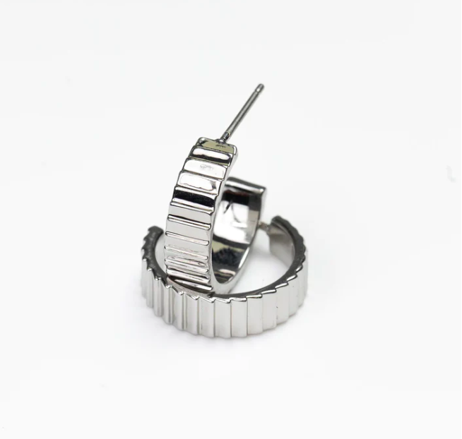 Aneesa Small Silver Earrings