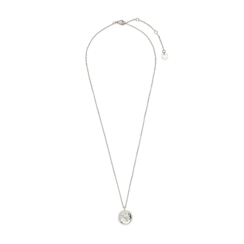 Crystal Mountain Coin Necklace