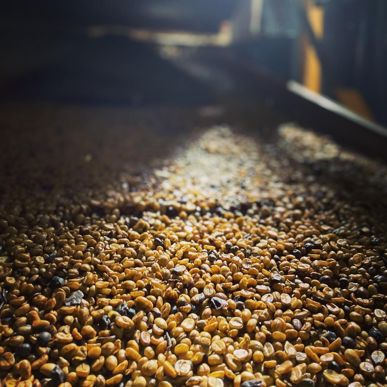 Brazil - Rafael Vinhal - Double Fermented -Honey Process - SINGLE ORIGIN