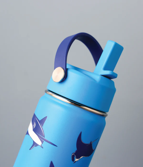 Cheeki - 400ml Insulated Little Adventurer Kids Bottle