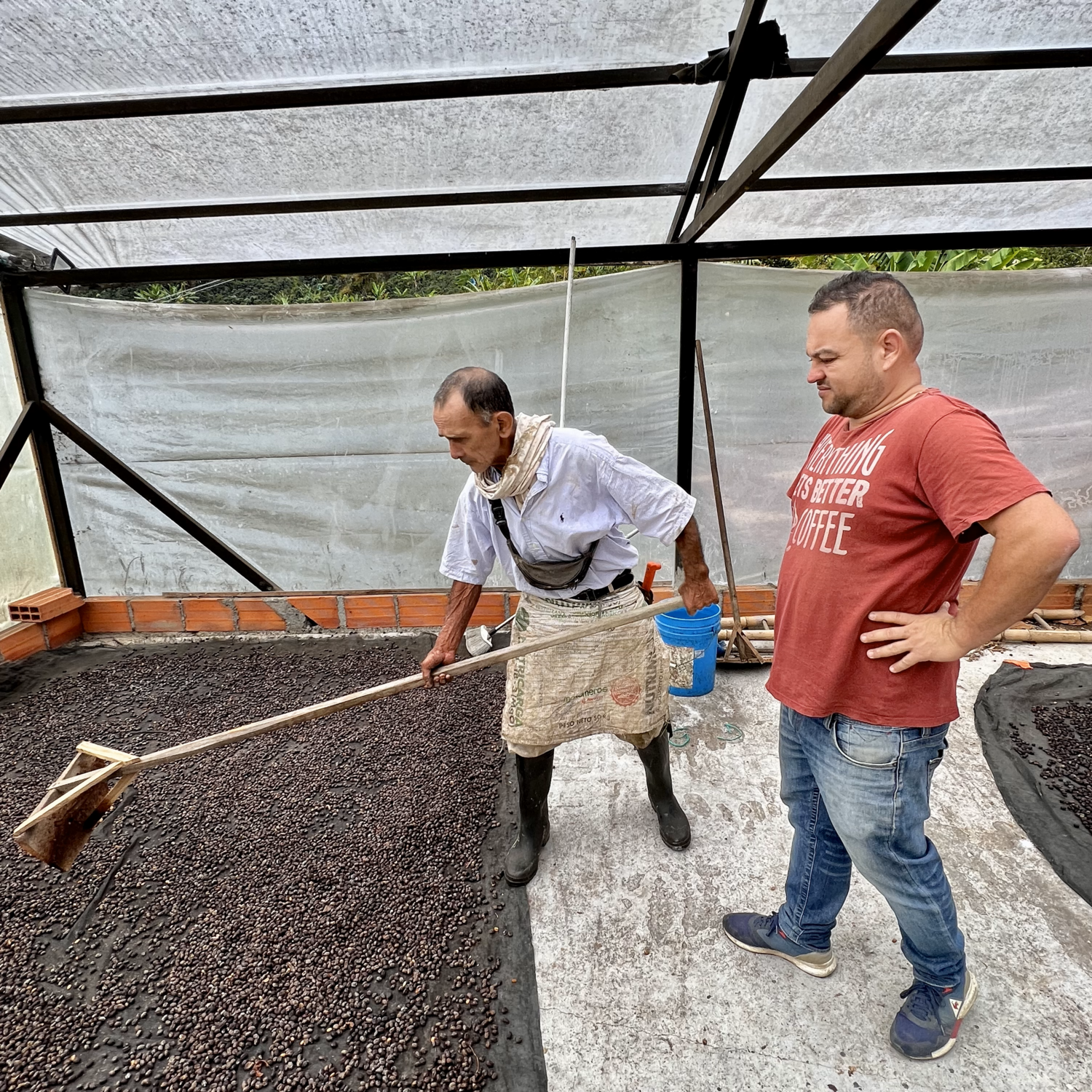 COLOMBIA  La Divisa -  Natural Process - Microlot - SINGLE ORIGIN