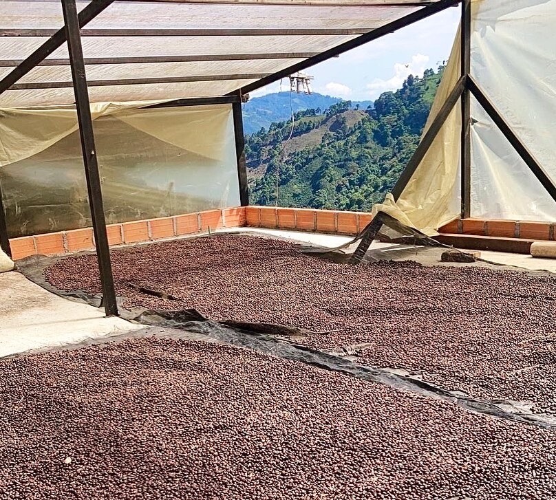 COLOMBIA  La Divisa -  Natural Process - Microlot - SINGLE ORIGIN