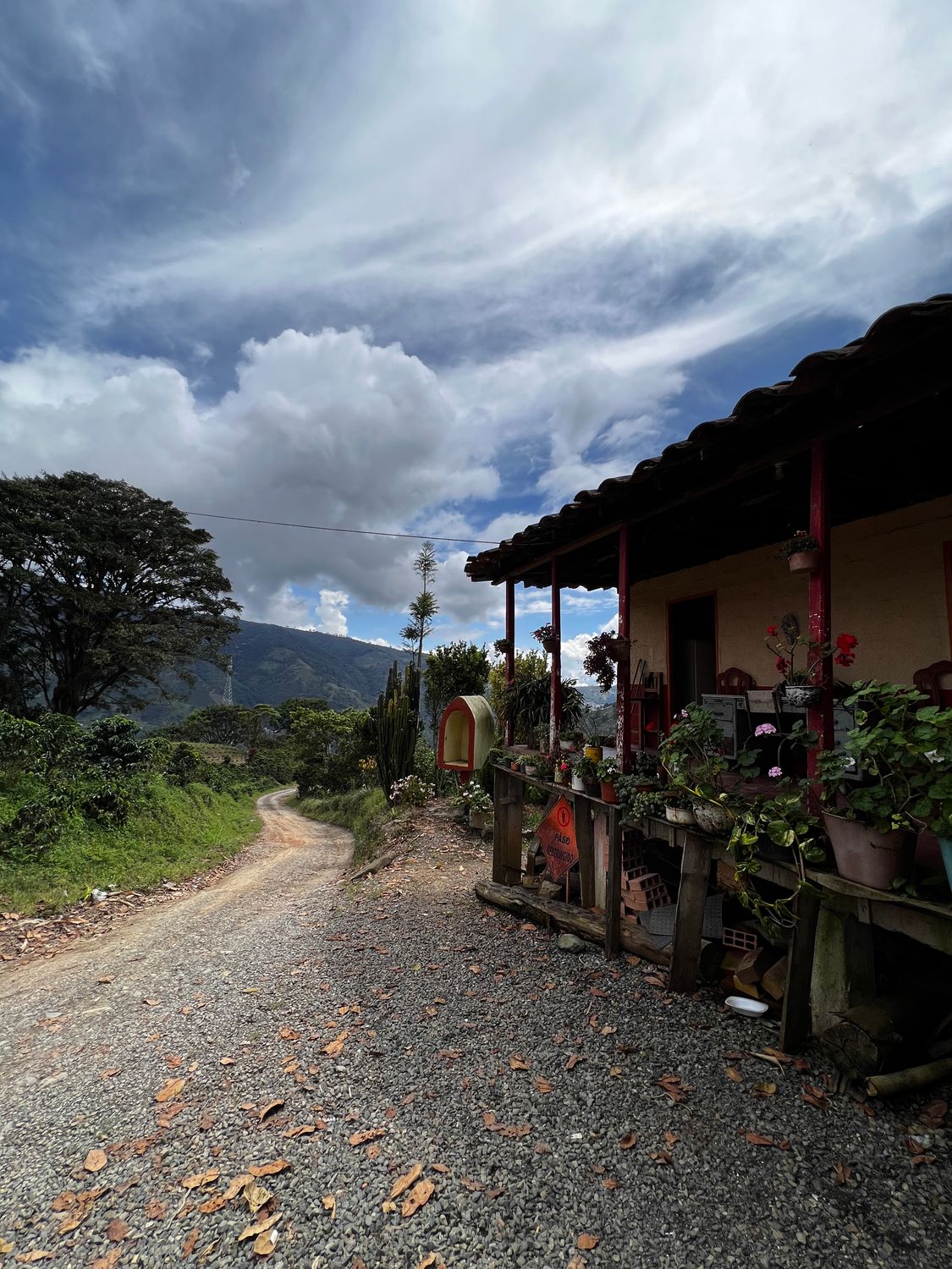 COLOMBIA  La Divisa -  Natural Process - Microlot - SINGLE ORIGIN
