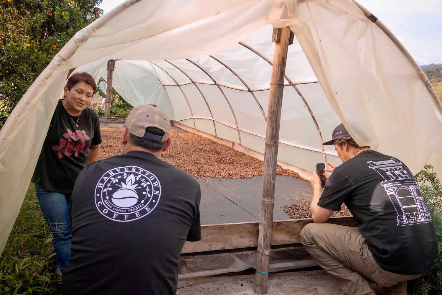 COLOMBIA  - CHAPOLERAS – Natural Process - Microlot - SINGLE ORIGIN