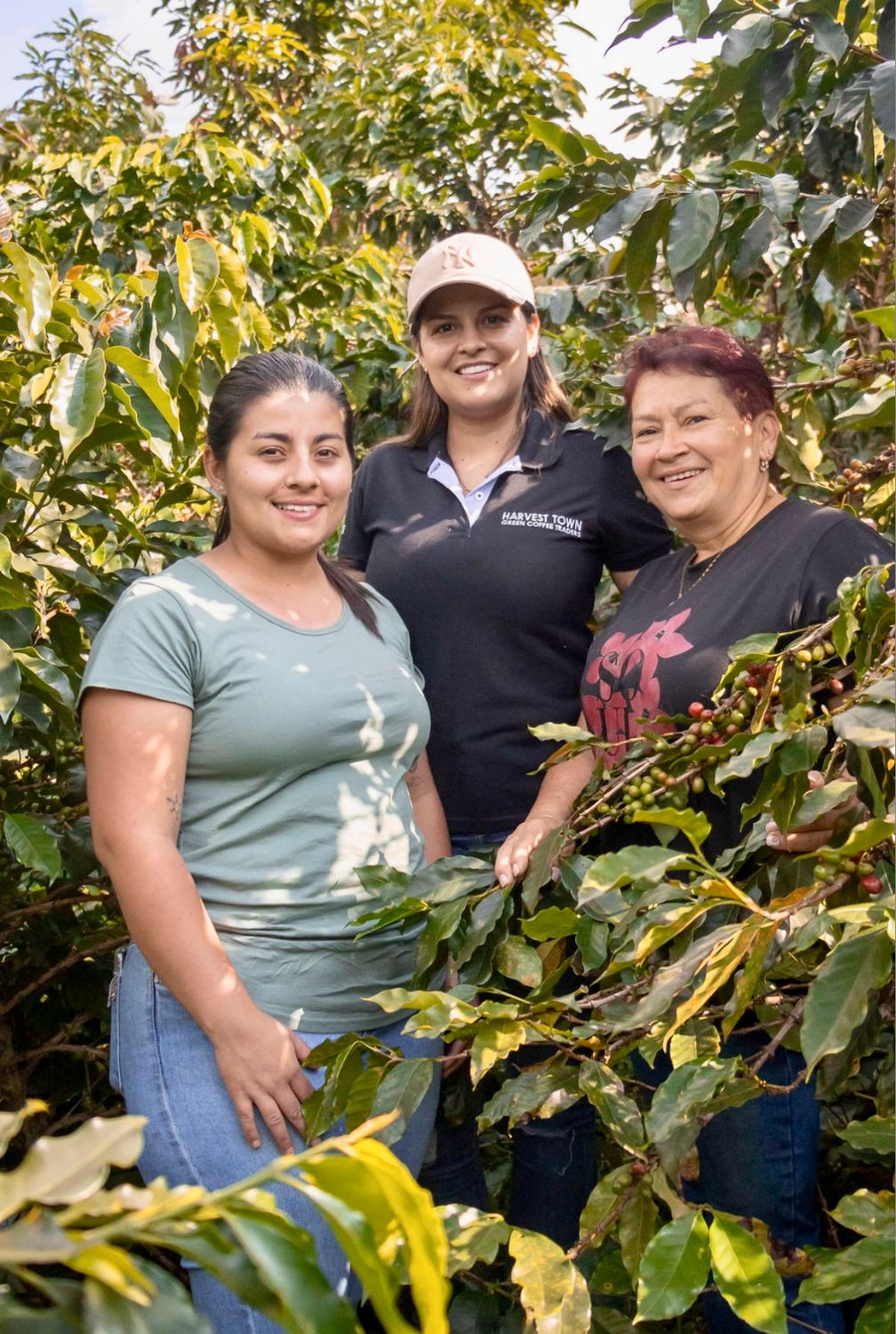 COLOMBIA  - CHAPOLERAS – Natural Process - Microlot - SINGLE ORIGIN