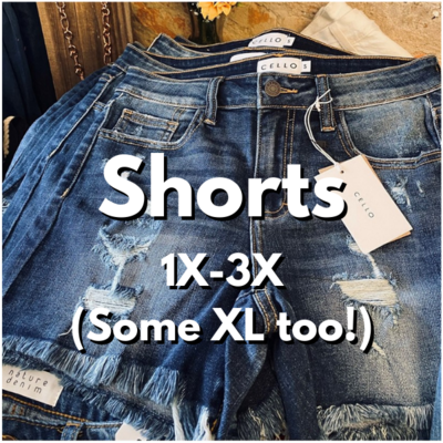 Shorts 1X-3X