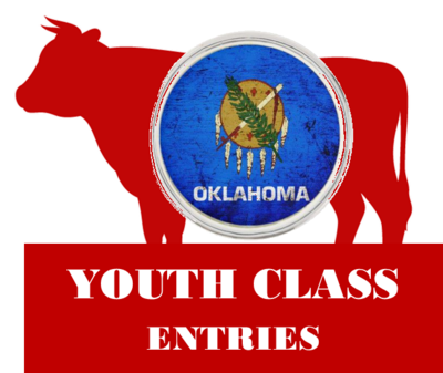Youth Class Entries