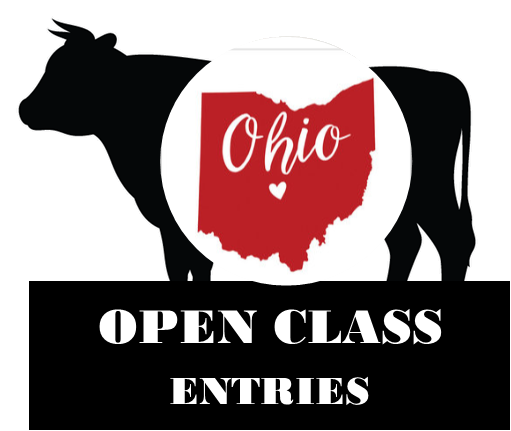OPEN Class Entries