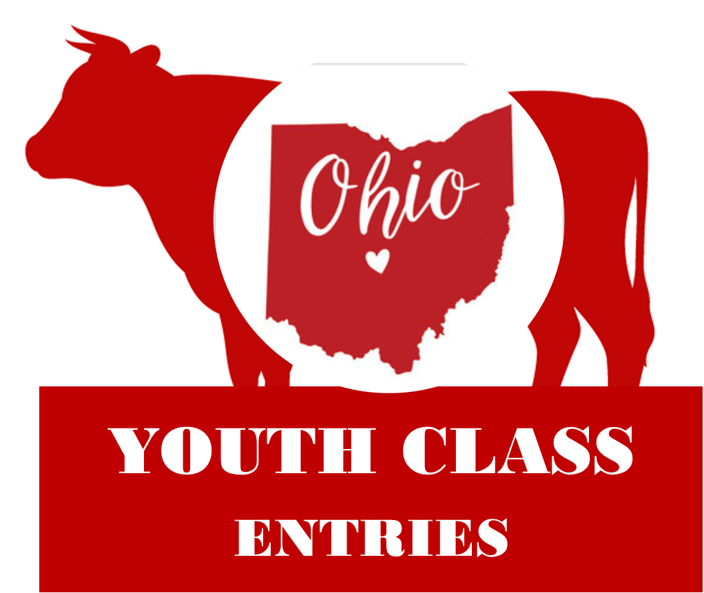 Youth Class Entries