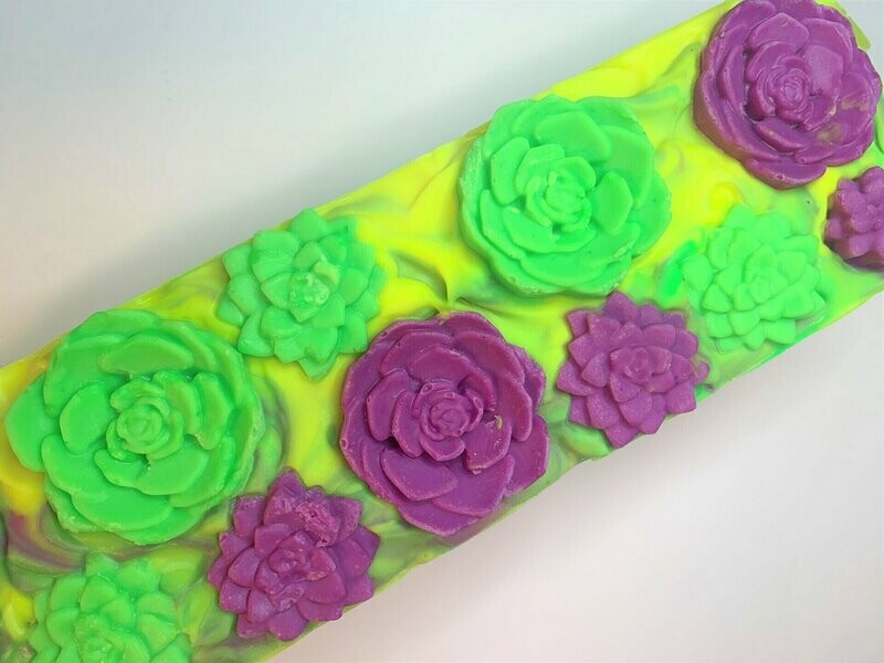 Succulent Discount Bar Soap