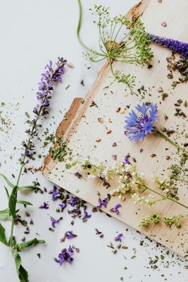 Herbal/Floral/Fruity Scents