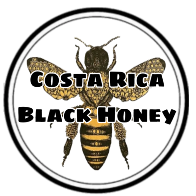 Costa Rica - Las Lajas Micromill - Black Honey Microlot - 16 oz